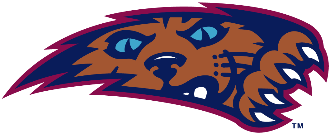Villanova Wildcats 1996-2003 Alternate Logo v5 diy fabric transfer